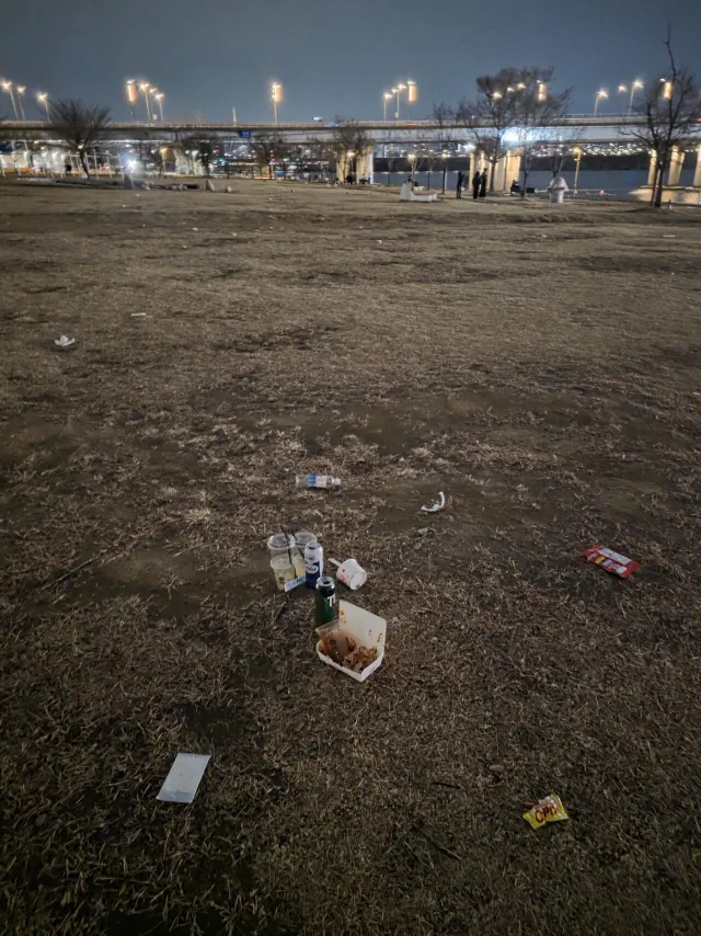 시민의식 처참하다는 여의도 한강공원 상황