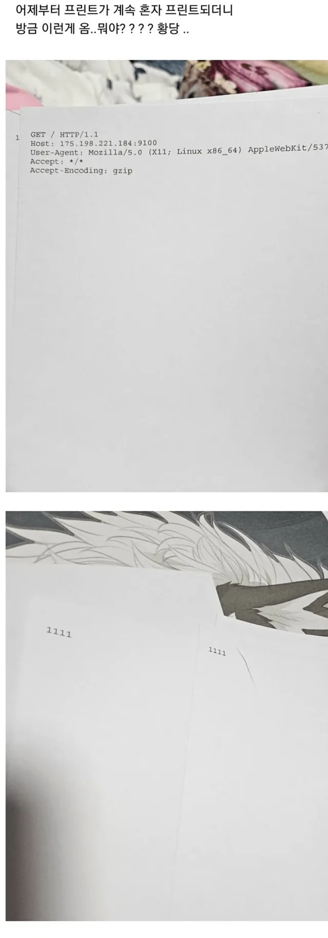 알아두면 좋은 화이트 해커들이 보낸다는 경고 신호 