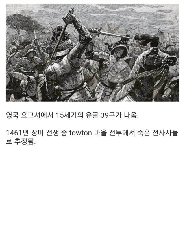 15세기 병사들의 유골 상태 ㅎㄷㄷ