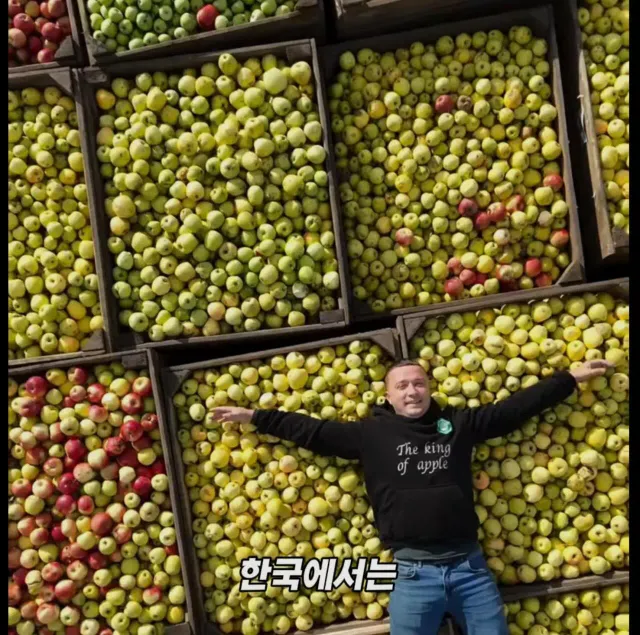 미국 사과가 1Kg 에 2000원대인 이유