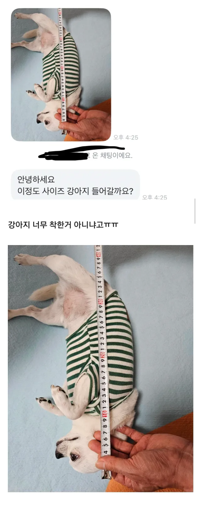 당근에 강아지 집 올려놨는데 문의가 너무 귀엽다