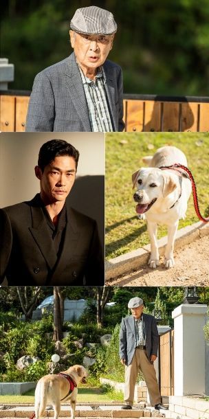 KBS 2TV 새 수목드라마 ‘개소리’