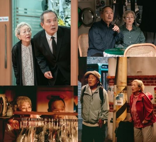 KBS 2TV 다리미 패밀리