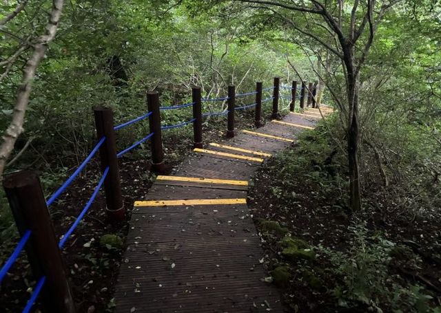 붉은오름자연휴양림 숲길 안전성 개선공사