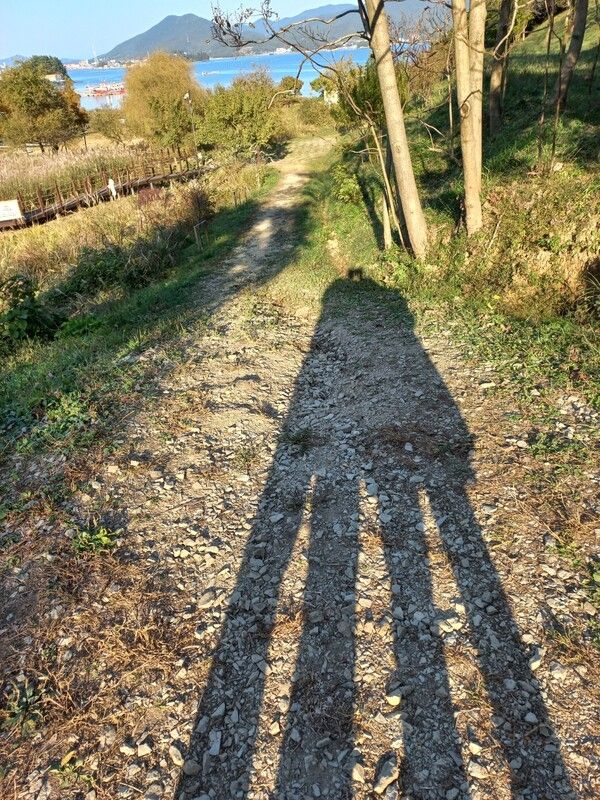 계묘년 깊어가는 어느 가을날 오후, 필가가&nbsp; 사랑하는 인생의 동반자와&nbsp; 얼싸안고 찍은 그림자/ 사진=정하룡