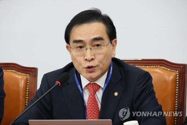 태영호 최고위원 [사진=연합뉴스]