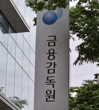 [사진=금융감독원 제공]