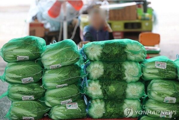 [사진=연합뉴스]