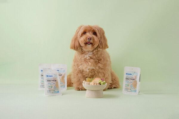 대상펫라이프 닥터뉴토, 프리미엄 영양 간식 ‘하루통살 닭 안심’ 출시 [사진=대상펫라이프]