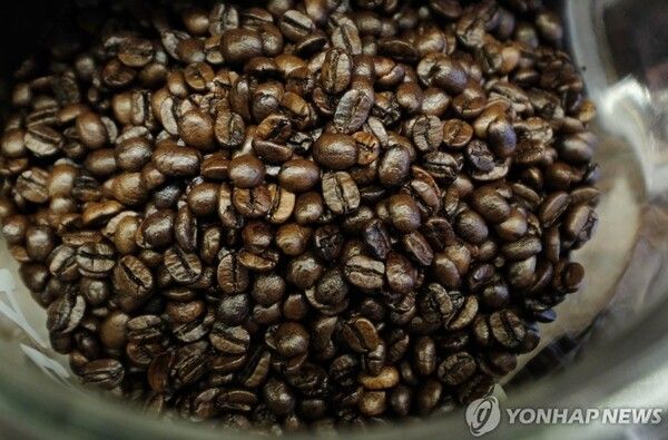 커피콩 [사진=연합뉴스]