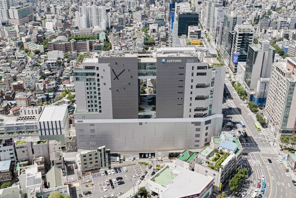 애경산업이 중국 의존도를 줄이기 위한 자구책 마련에 여념이 없다. [사진=애경산업]