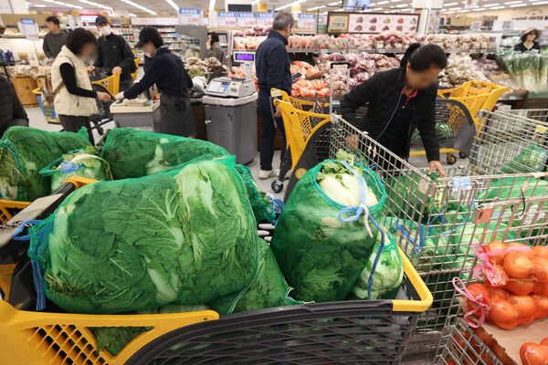 [사진=연합뉴스]