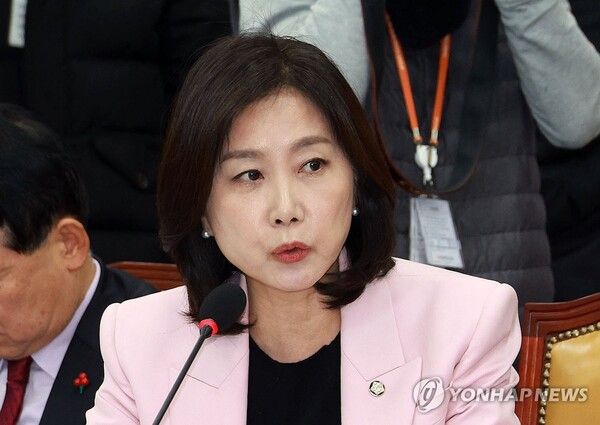 허은아 개혁신당 최고위원 [사진=연합뉴스]