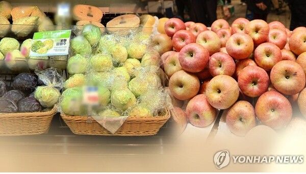 치솟는 사과·양배추 값. 사진=연합뉴스