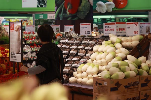 서울 시내 한 대형마트에서 장을 보는 시민 [사진=연합뉴스]