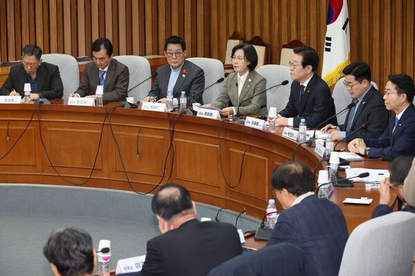 더불어민주당 추미애 의원이 6일 오전 서울 여의도 국회에서 열린 중진의원 간담회에서 발언하고 있다. [사진= 연합뉴스]