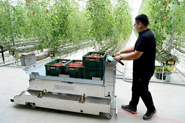 스마트팜 작업자 추종 운반로봇 시범 보급사업 평가회/사진=고령군 제공