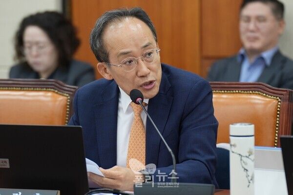 질의하는 국회 정무위원회 추경호 국회의원[사진=추경호의원실]