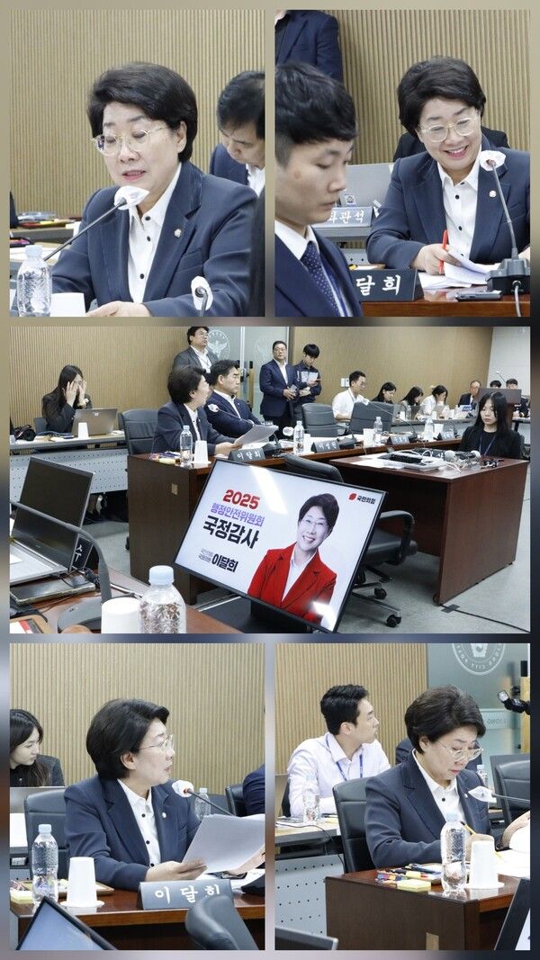 세종시 국정감사 [출처=이달희 의원 SNS]