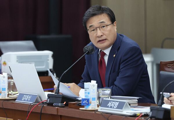 김대식 국민의힘 의원은 12일 라디오에 출연해 