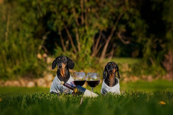 [사진=교원그룹]