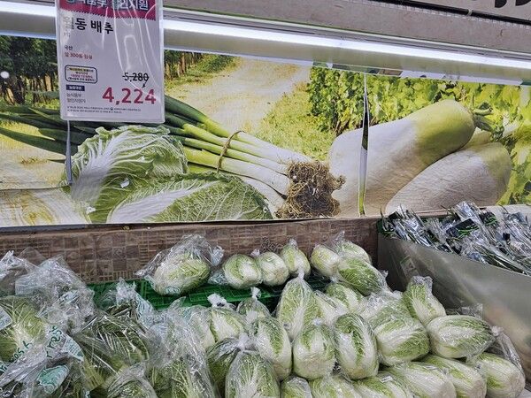 [사진=연합뉴스]