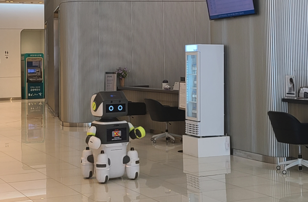 현대차·기아 로보틱스랩의&nbsp; ‘달이(DAL-e)’. [사진=현대자동차]