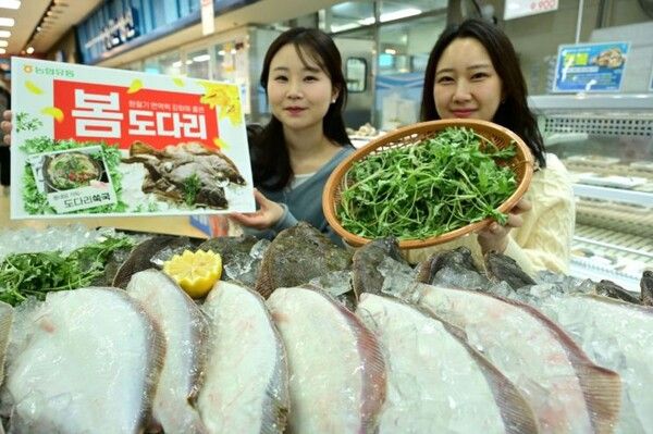 [사진=농협유통]