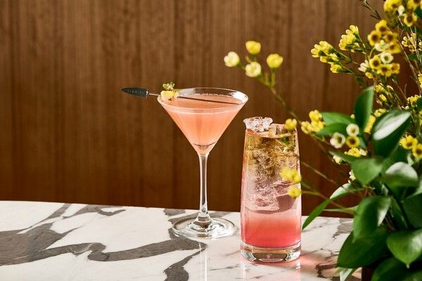 [사진=롯데호텔앤리조]