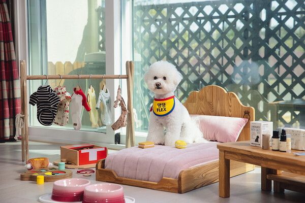 [사진=이랜드파크]