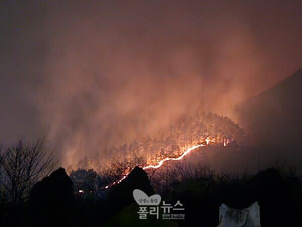산청 시천면 산불(사진=박영순 기자)