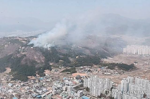 25일 울산시 울주군 언양읍에서 난 산불로 화염과 자욱한 연기가 아파트 대단지와 마을 인근까지 확산되고 있다. [사진=연합뉴스]