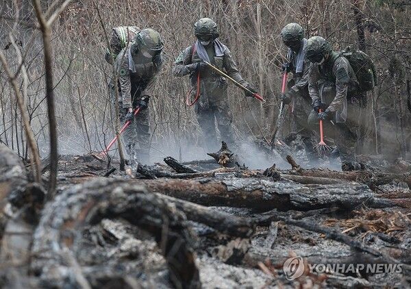 서울 면적 80%를 불태운 영남 산불이 약 149시간 만에 모두 진화됐다 [사진=연합뉴스]