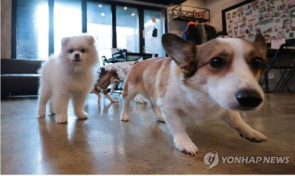 &nbsp;[사진=연합뉴스]