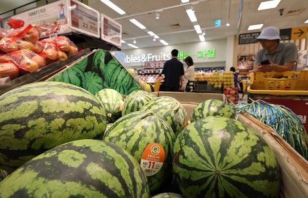 [사진=연합뉴스]