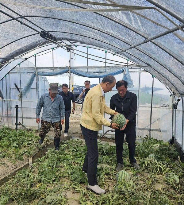 [사진=NH농협생명 제공]