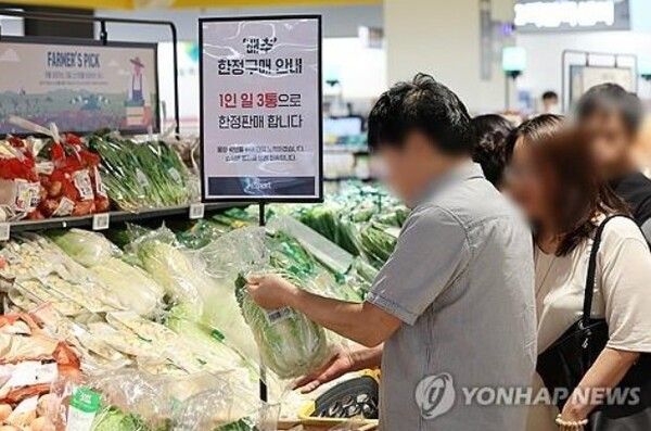 폭염으로 배춧값 강세가 이어지는 가운데 29일 오전 서울 시내 한 대형마트를 찾은 시민이 손질배추를 살피고 있다. [사진=연합뉴스]