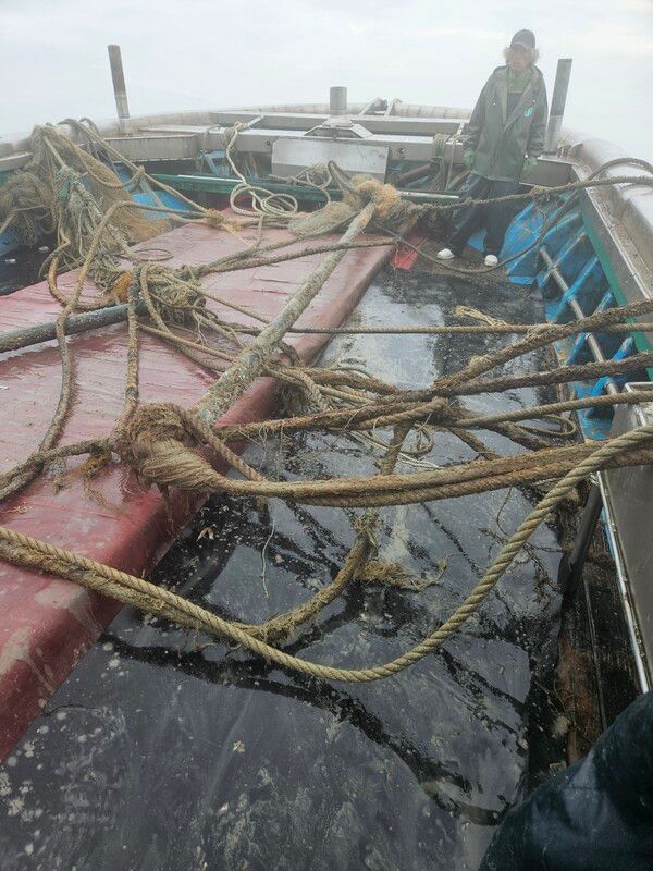 낙월블루하트 해상풍력발전단지 구역에서 어구가 예리하게 절단돼 사실상 사용할 수 없는 상태로 발견됐다. 〈사진제공 : 영광군어민회〉