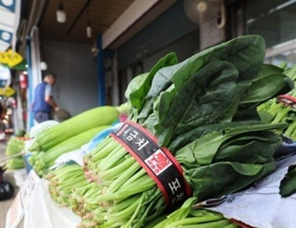 [사진=연합뉴스]