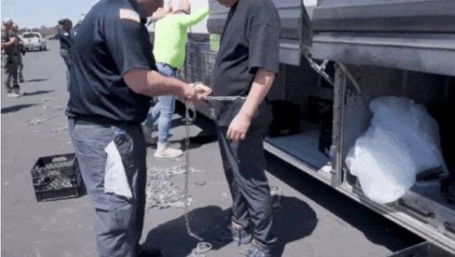 미국 이민세관단속국 ICE가 6일 미 조지아주 내 현대자동차그룹과 LG에너지솔루션 합작 배터리 공장 건설 현장의 한국인 직원 300여 명을 기습 단속·체포·구금하는 영상을 공개했다. 영상에는 쇠사슬로 묶여 체포되는 장면이 공개돼 충격을 주고 있다. [사진=ICE 홈페이지 갈무리]