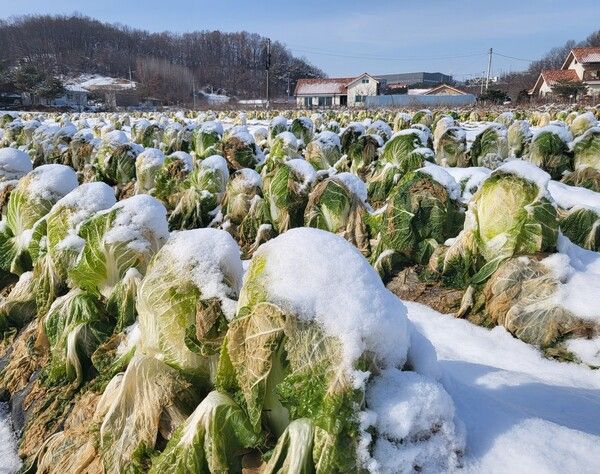 [사진=연합뉴스]