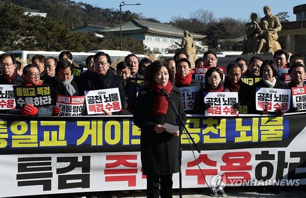 국민의힘&nbsp;나경원&nbsp;의원이 20일 청와대 앞에서 열린 통일교 게이트 및 민주당 특검 촉구 기자회견에서 발언하고 있다. [사진=연합뉴스]
