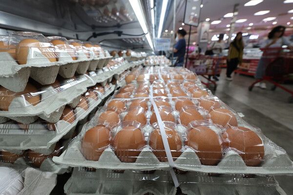 [사진-=연합뉴스]