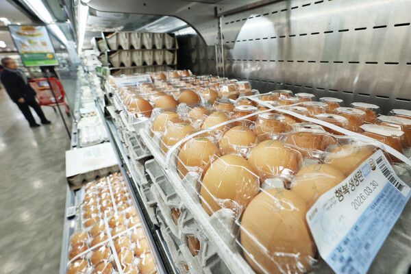 고병원성 AI 확산으로 산란계 살처분이 급증하며 계란값이 다시 7,000원대를 돌파한 가운데, 정부가 유통 과정의 웃돈 요구나 재고 쌓기 등 시장 교란 행위에 대한 고강도 현장 점검에 나섰다. 사진=연합뉴스