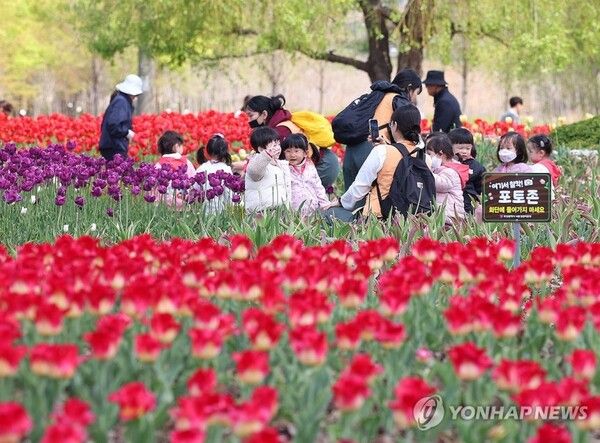 이재명 대통령이 28일 국무회의에서 소풍과 수학여행을 잘 가지 않는 현상을 언급하며 교육당국에 개선책 마련을 주문한 가운데 교사들의 책임 회피를 지적한 것으로 알려지며 논란이 불거졌다 [사진=연합뉴스]