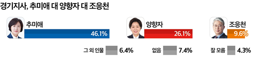 경기지사 3자 가상대결, 추미애 전 의원이 46.1%의 지지를 얻어 양향자 최고위원(26.1%)을 크게 앞섰다. 두 후보의 격차는 20%포인트이며, 조응천 전 의원은 9.6%로 뒤를 이었다. 2026.5.4. [그래픽=뉴스토마토]