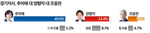 평택을 지역의 경기지사 가상 3자 대결에서 추미애 전 의원이 49.6%의 지지를 얻어 양향자 국민의힘 최고위원(23.4%)을 오차범위 밖에서 앞섰다. 조응천 전 의원은 9.0%를 기록했다. 2026.5.4. [그래픽=미디어토마토]