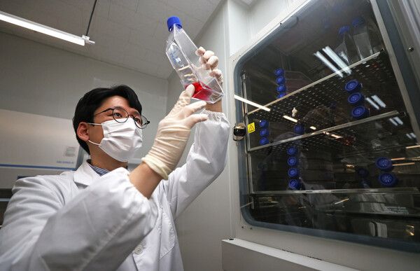 국내외 제약·바이오 기업들이 신약 개발 전 과정에 데이터 기반 연구 체계를 적용하며 연구개발(R&D) 방식을 바꾸고 있다. [사진=연합뉴스]