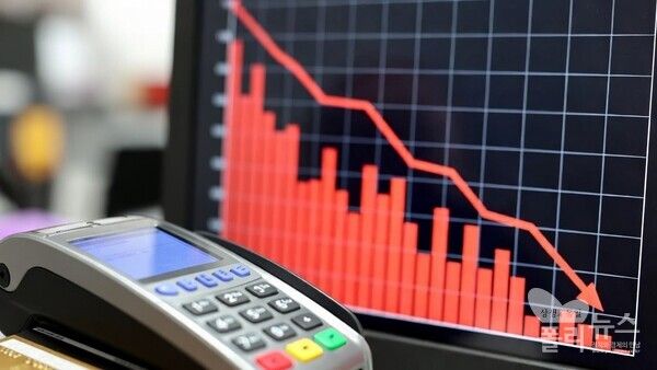 정부의 카드포인트 활용 확대 논의가 이어지는 가운데 카드산업이 공공적 역할을 지속할 수 있도록 산업 경쟁력과 지속가능성을 함께 살펴봐야 한다는 목소리가 커지고 있다.&nbsp; [사진=그록 AI 편집]