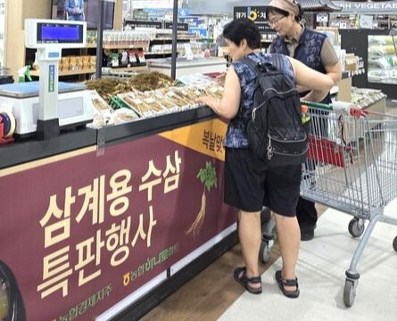 농협은 삼계용 수삼 판매에 나선다. [사진=농협]